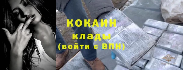 мяу мяу мука Арсеньев