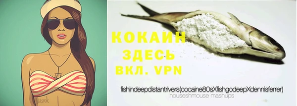 PSILOCYBIN Армянск