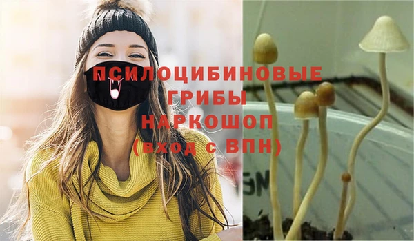 PSILOCYBIN Армянск