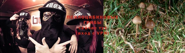 мяу мяу мука Арсеньев