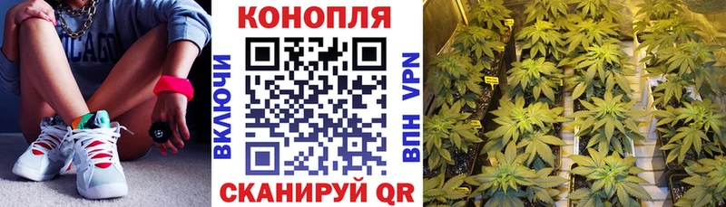 Марихуана ГИДРОПОН  Белокуриха 